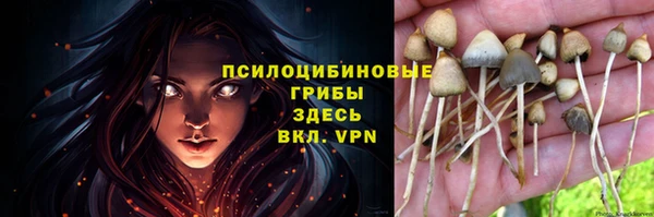 кокс Белоозёрский