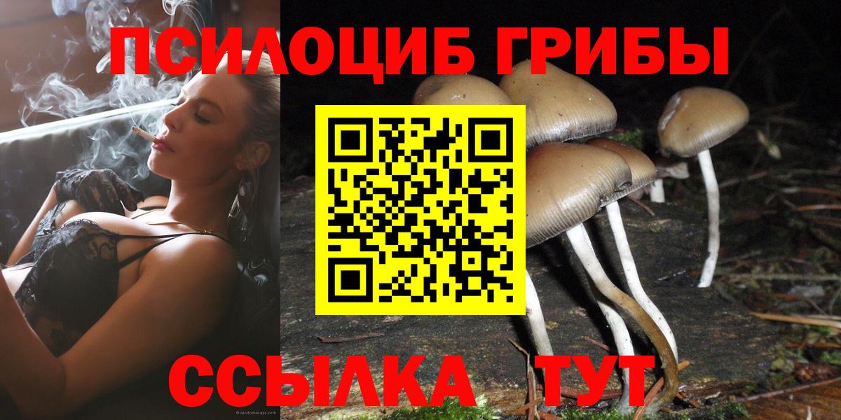 Корсаков  дарнет шоп  Вход с VPN  Галлюциногенные грибы прущие грибы 